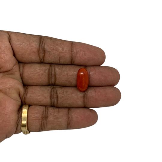 RED ITALIAN CORAL OVAL - 9.55 ct