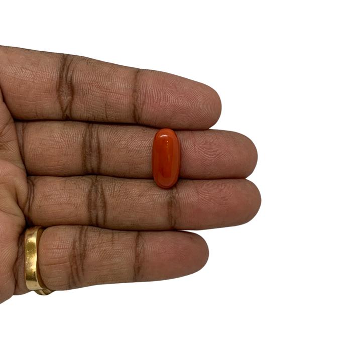 RED ITALIAN CORAL OVAL - 9.37 ct