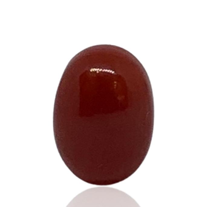 RED ITALIAN CORAL OVAL - 3.60 ct