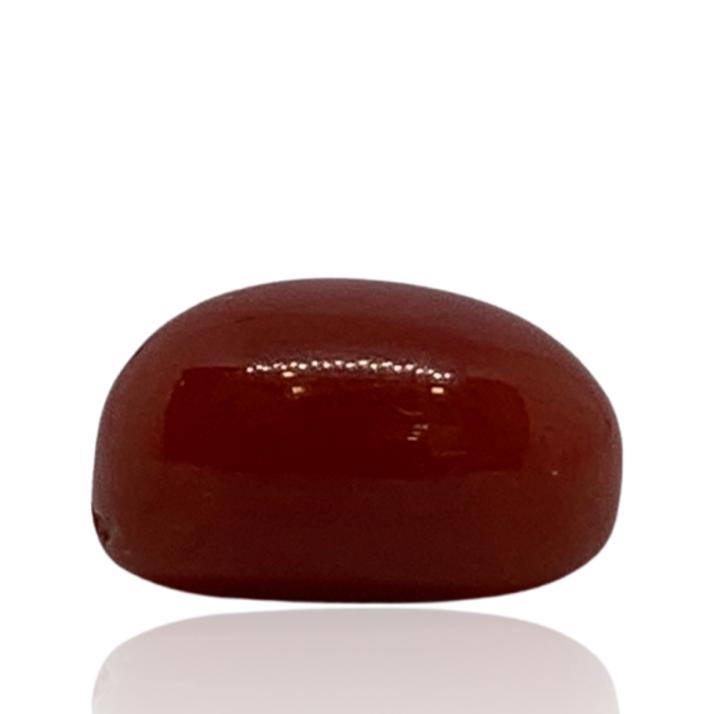 RED ITALIAN CORAL OVAL - 3.60 ct