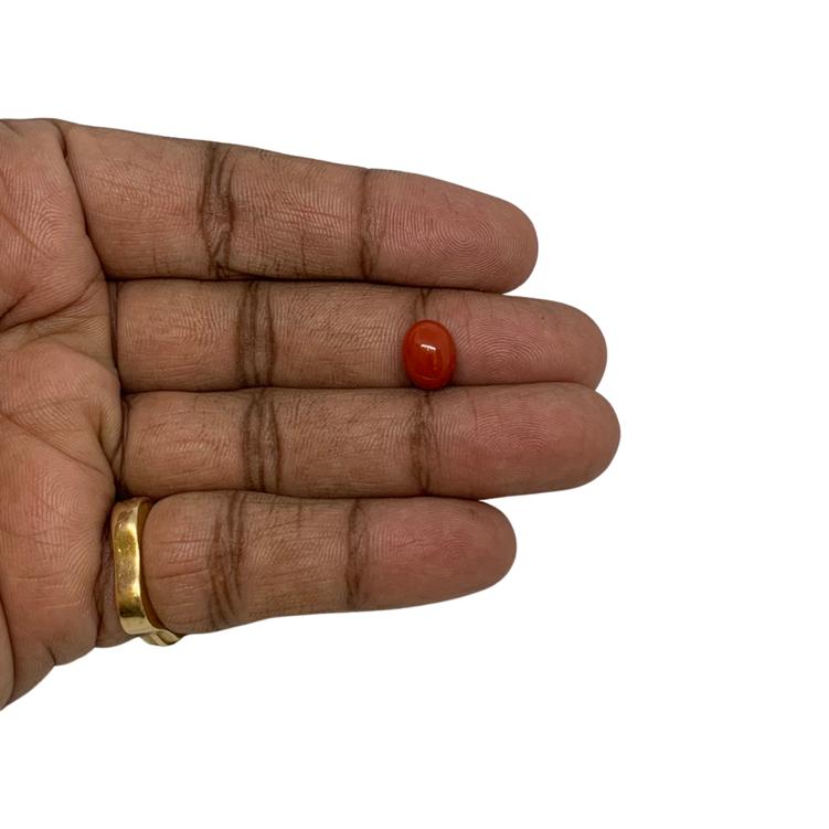 RED ITALIAN CORAL OVAL - 4.6 ct
