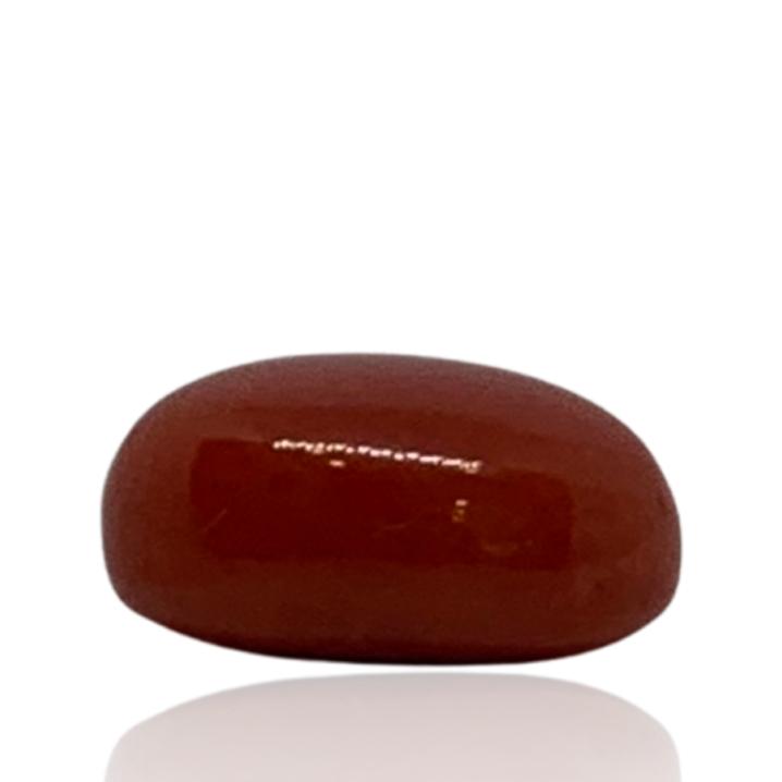 RED ITALIAN CORAL OVAL - 5.6 ct