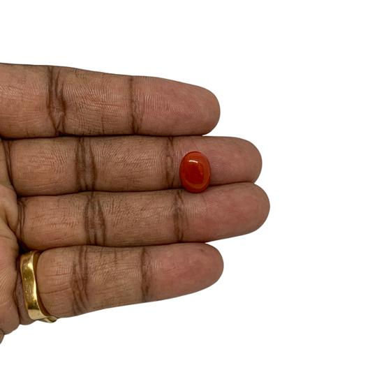 RED ITALIAN CORAL OVAL - 5.6 ct