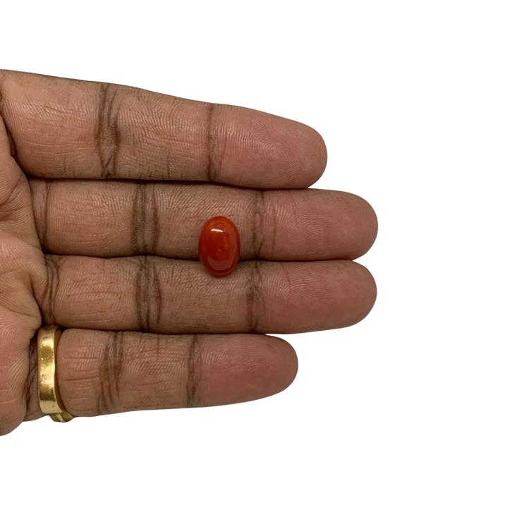 RED ITALIAN CORAL OVAL - 6.27 ct
