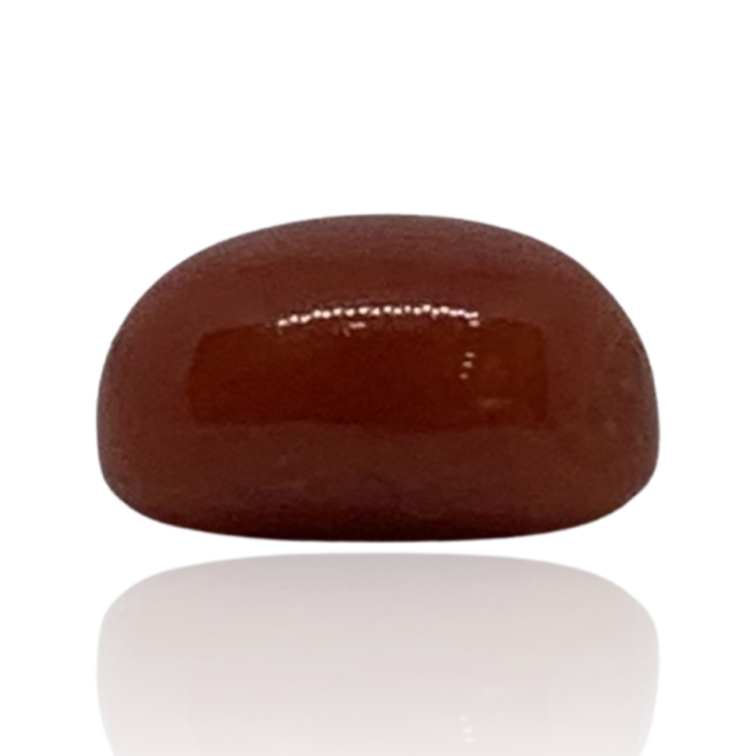 RED ITALIAN CORAL OVAL - 3 ct