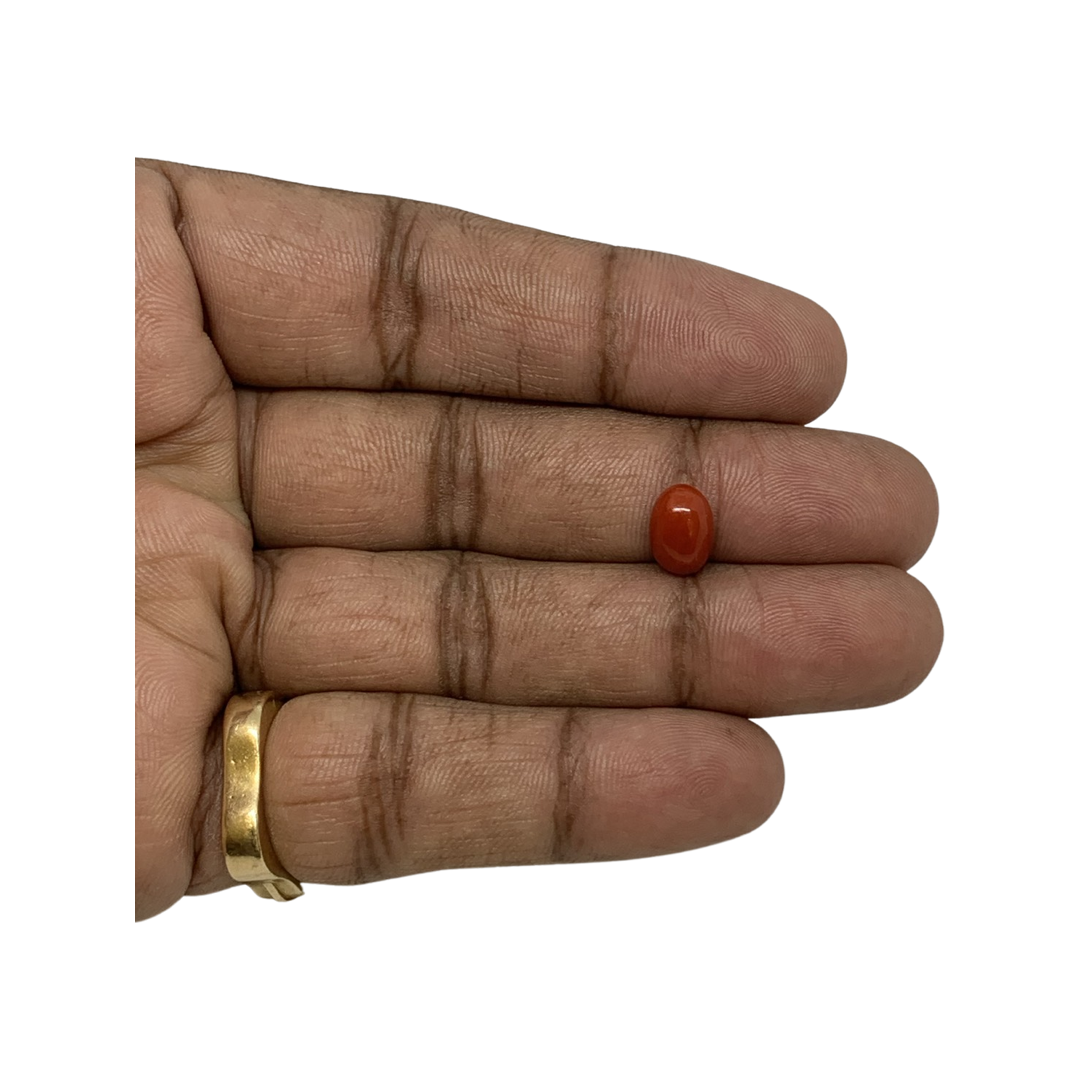 RED ITALIAN CORAL OVAL - 3 ct