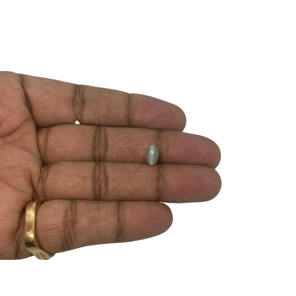 CHRYSOBERYL CAT'SEYE - 2.68 ct