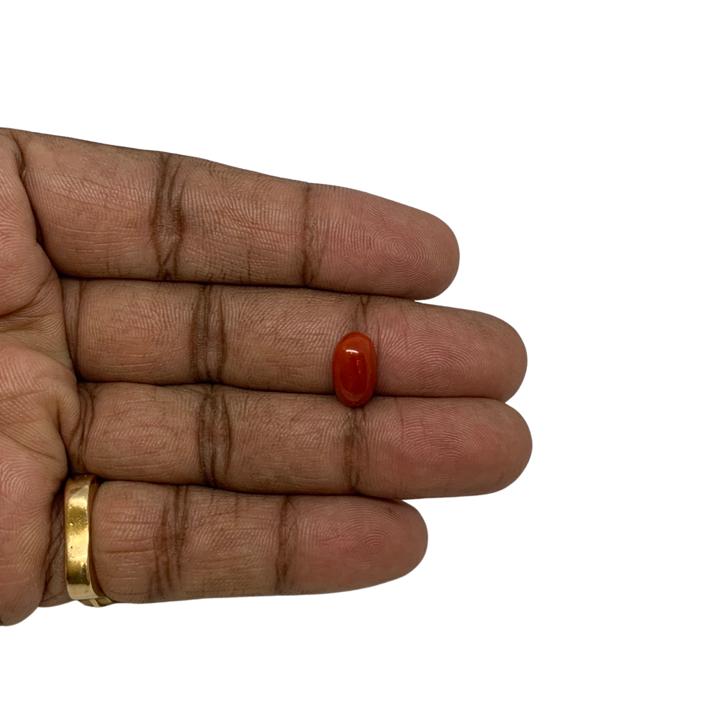 RED ITALIAN CORAL OVAL - 4.21 ct