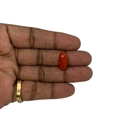 RED ITALIAN CORAL OVAL - 9.55 ct