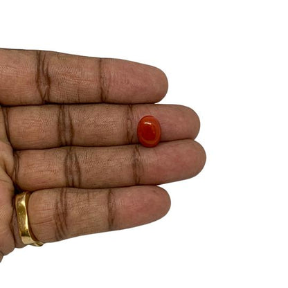 RED ITALIAN CORAL OVAL - 5.6 ct
