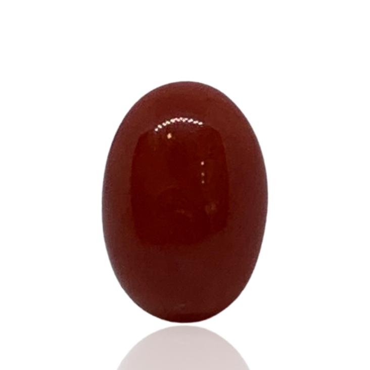 RED ITALIAN CORAL OVAL - 6.27 ct