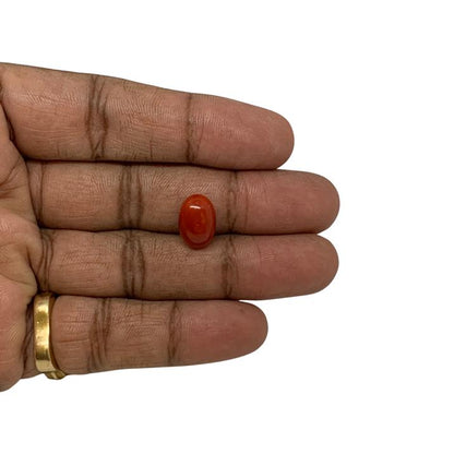 RED ITALIAN CORAL OVAL - 6.27 ct