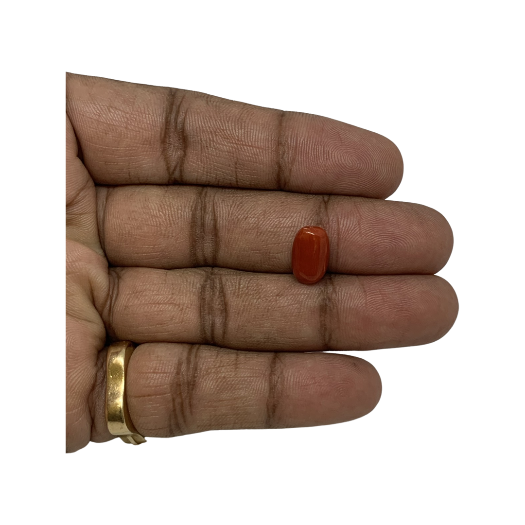 RED ITALIAN CORAL OVAL - 3.92 ct