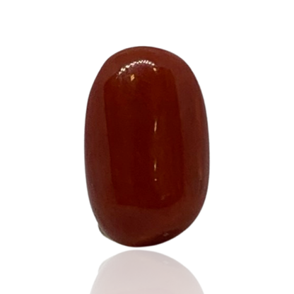RED ITALIAN CORAL OVAL - 3.92 ct