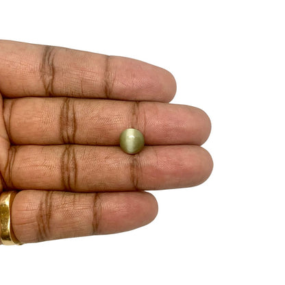 CHRYSOBERYL CAT'SEYE - 3.45 ct